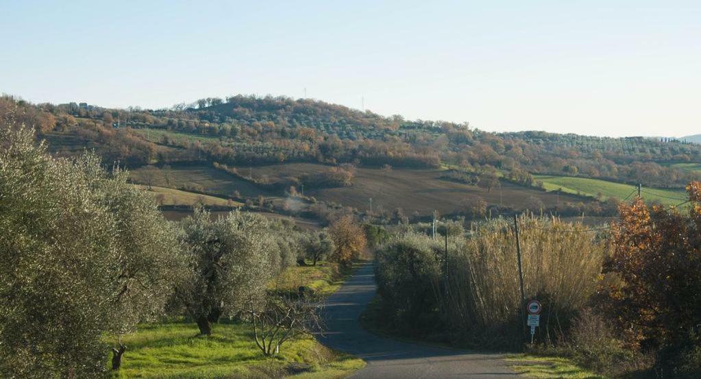 Le Casette Country House Petricci Exterior photo